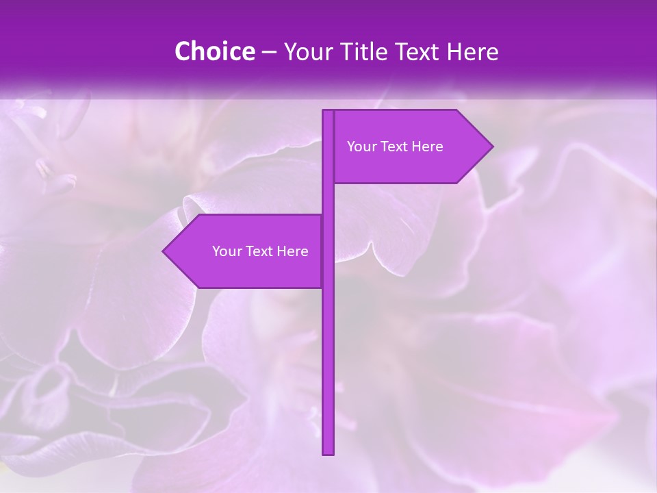 A Bunch Of Purple Flowers On A White Surface PowerPoint Template