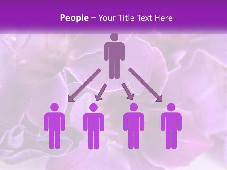 A Bunch Of Purple Flowers On A White Surface PowerPoint Template