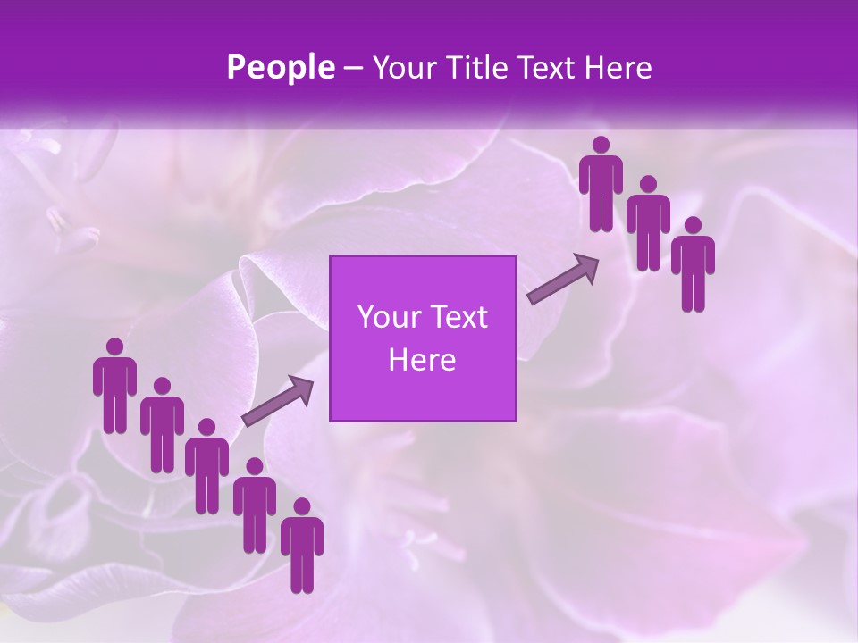 A Bunch Of Purple Flowers On A White Surface PowerPoint Template