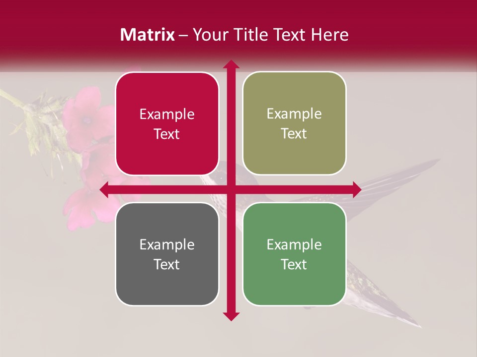 A Hummingbird With A Pink Flower In Its Beak PowerPoint Template