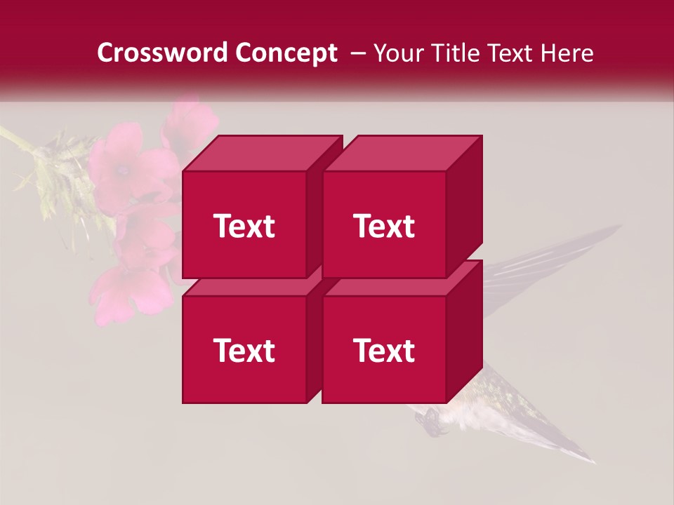 A Hummingbird With A Pink Flower In Its Beak PowerPoint Template