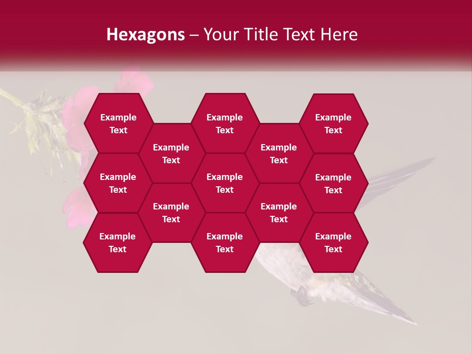 A Hummingbird With A Pink Flower In Its Beak PowerPoint Template