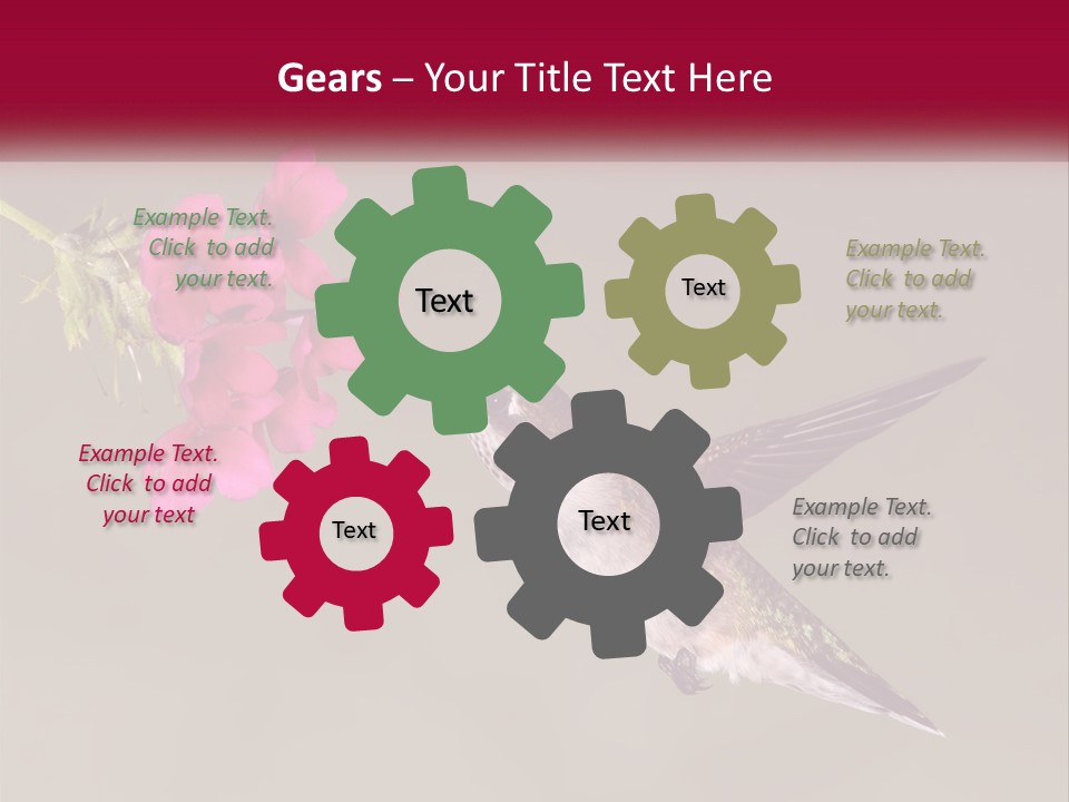 A Hummingbird With A Pink Flower In Its Beak PowerPoint Template