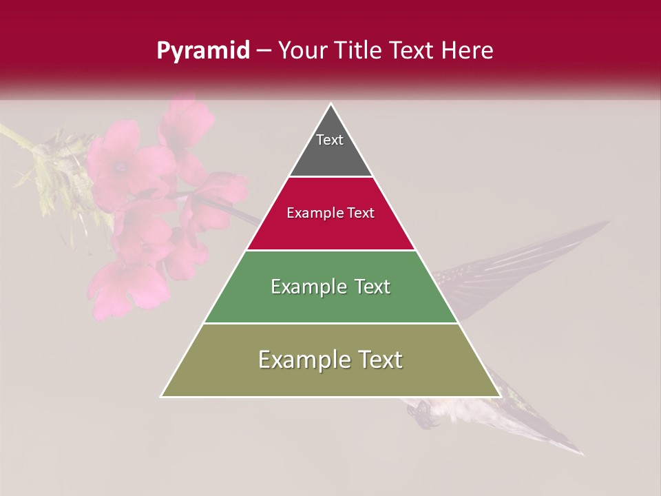 A Hummingbird With A Pink Flower In Its Beak PowerPoint Template