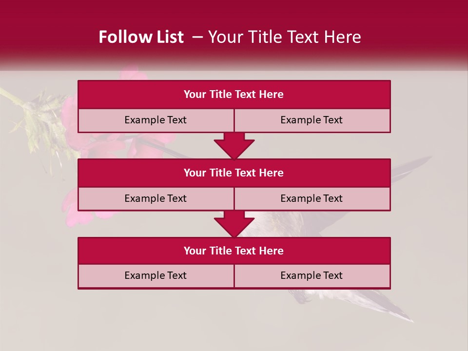 A Hummingbird With A Pink Flower In Its Beak PowerPoint Template