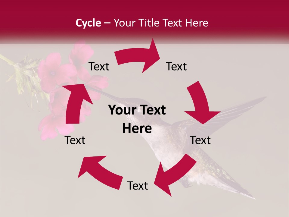 A Hummingbird With A Pink Flower In Its Beak PowerPoint Template