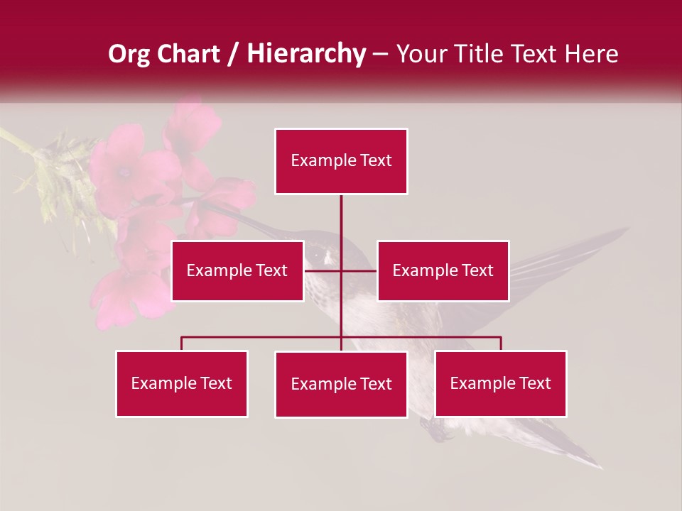 A Hummingbird With A Pink Flower In Its Beak PowerPoint Template