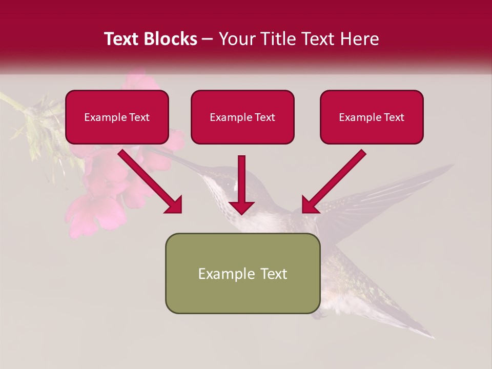 A Hummingbird With A Pink Flower In Its Beak PowerPoint Template