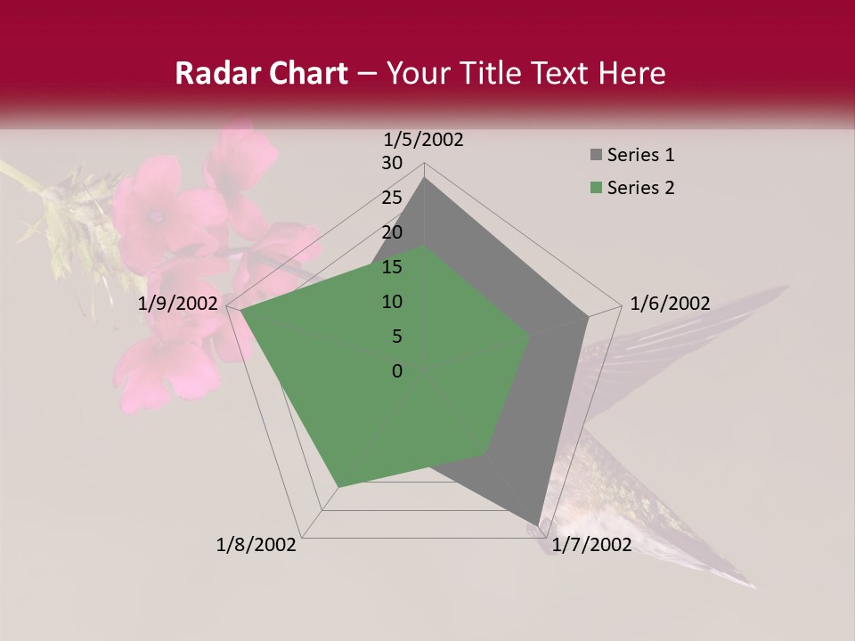 A Hummingbird With A Pink Flower In Its Beak PowerPoint Template