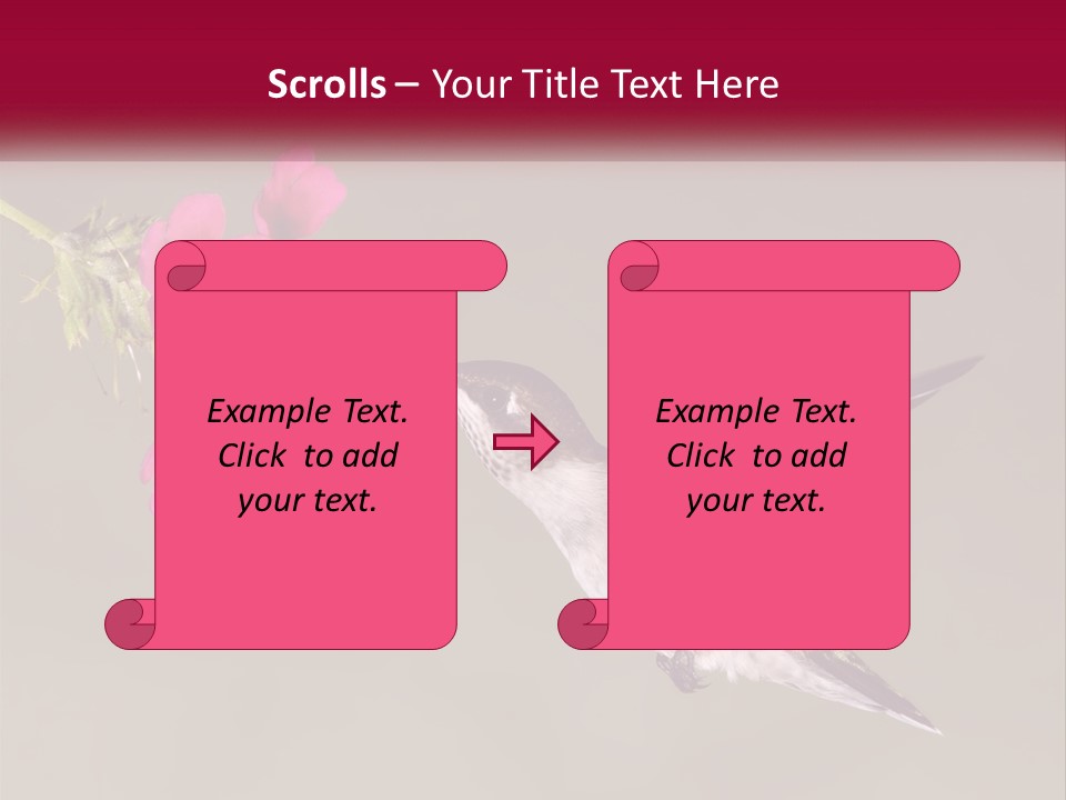 A Hummingbird With A Pink Flower In Its Beak PowerPoint Template