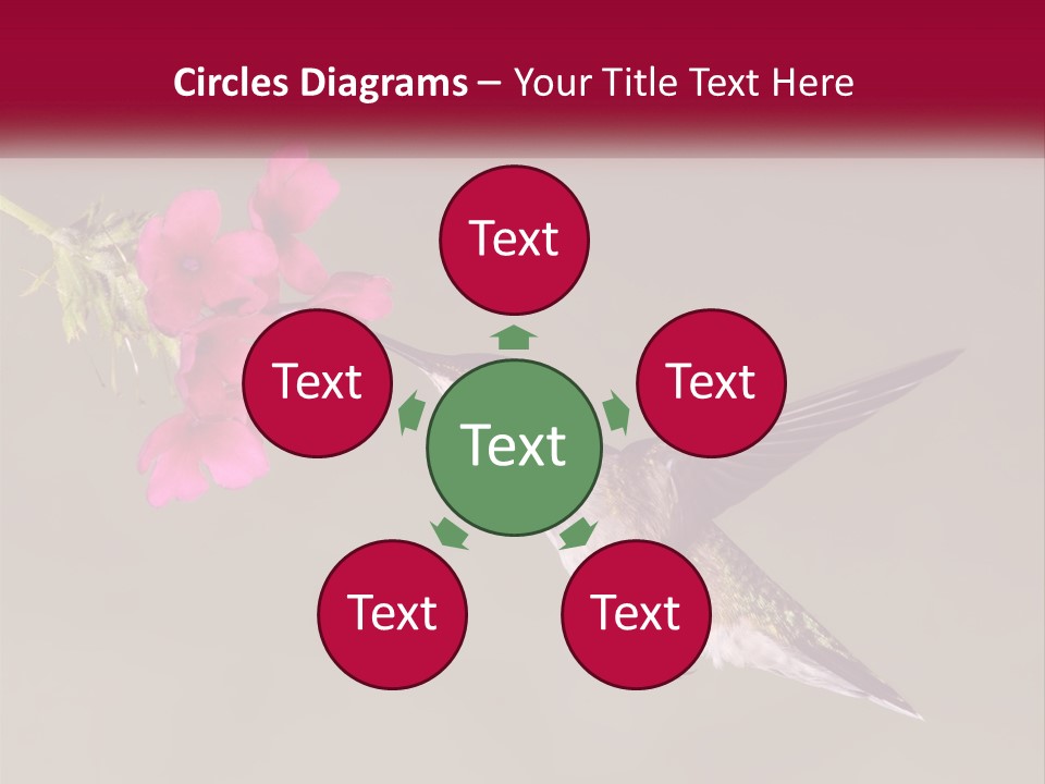 A Hummingbird With A Pink Flower In Its Beak PowerPoint Template