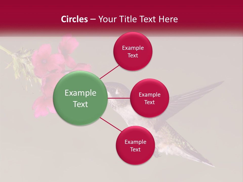 A Hummingbird With A Pink Flower In Its Beak PowerPoint Template