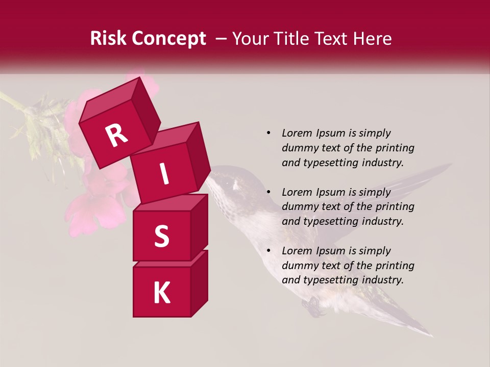 A Hummingbird With A Pink Flower In Its Beak PowerPoint Template