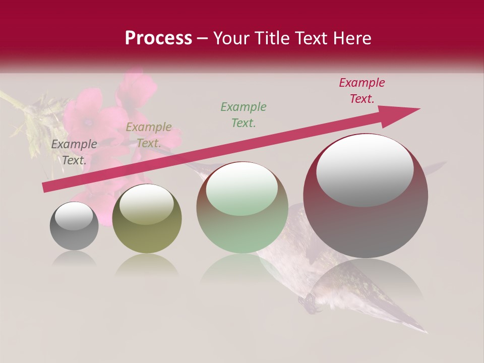 A Hummingbird With A Pink Flower In Its Beak PowerPoint Template