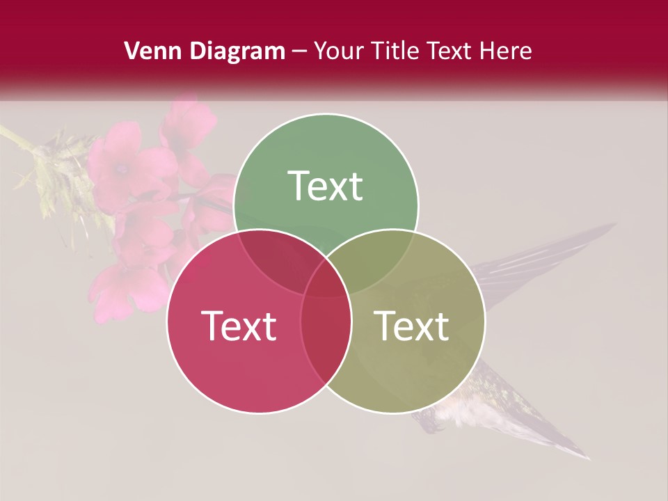 A Hummingbird With A Pink Flower In Its Beak PowerPoint Template