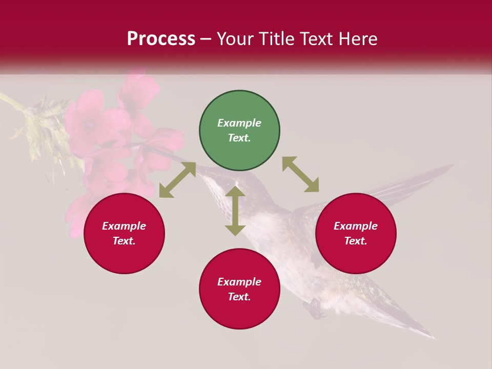 A Hummingbird With A Pink Flower In Its Beak PowerPoint Template