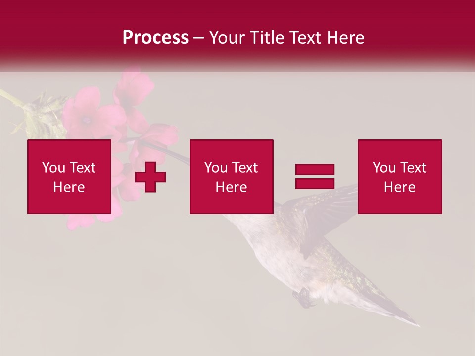 A Hummingbird With A Pink Flower In Its Beak PowerPoint Template
