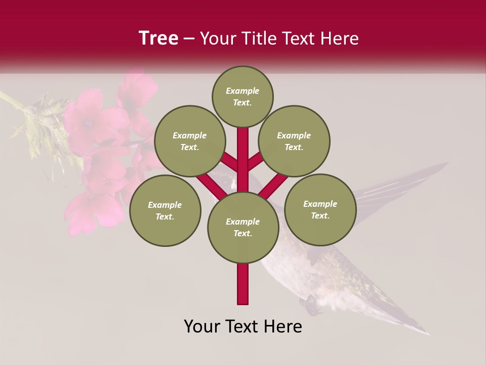 A Hummingbird With A Pink Flower In Its Beak PowerPoint Template