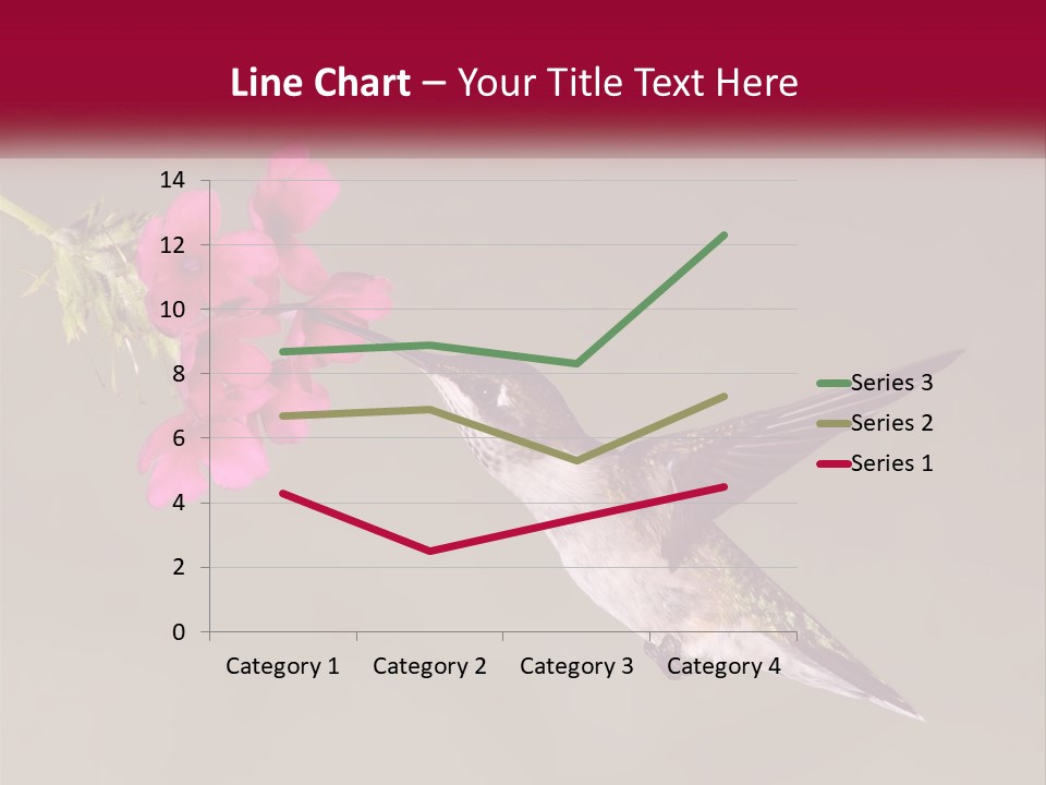 A Hummingbird With A Pink Flower In Its Beak PowerPoint Template