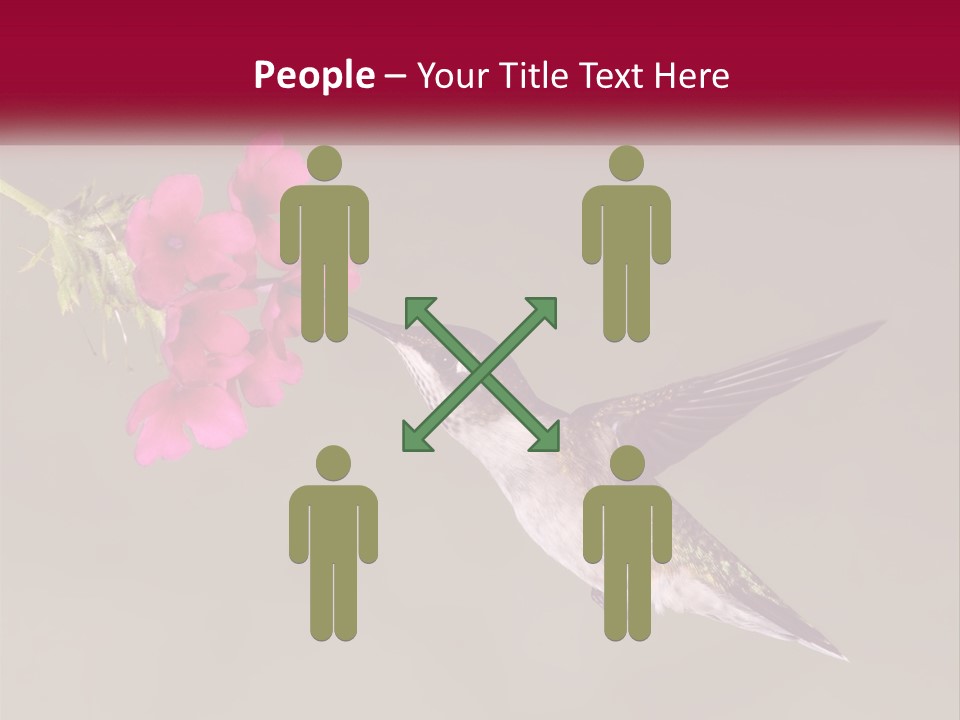 A Hummingbird With A Pink Flower In Its Beak PowerPoint Template