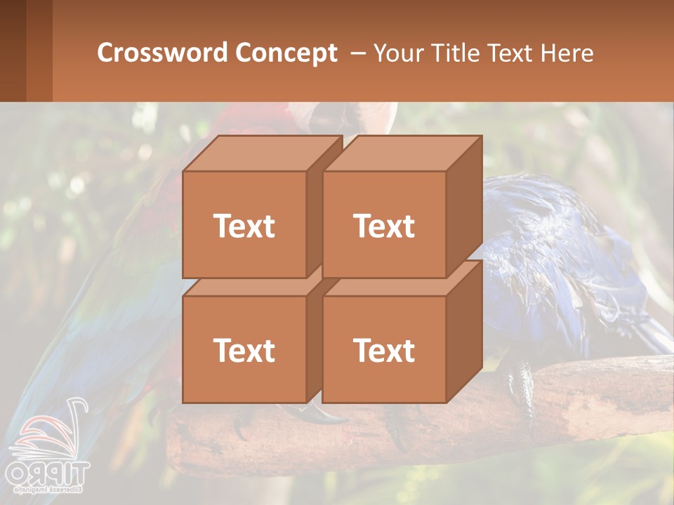 Two Colorful Parrots Are Sitting On A Tree Branch PowerPoint Template