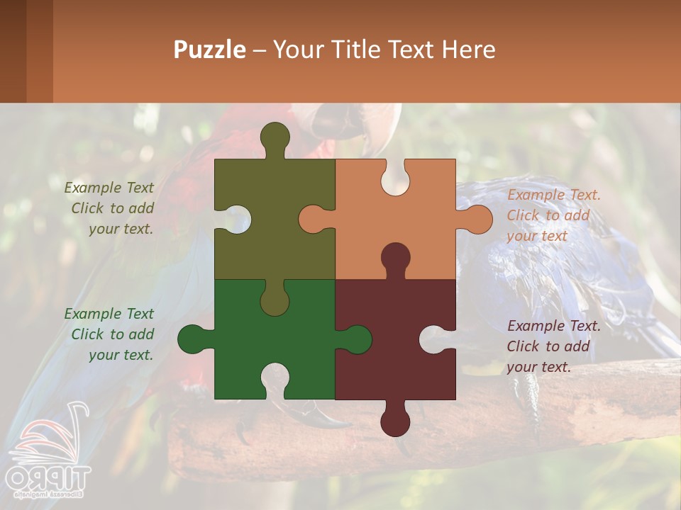 Two Colorful Parrots Are Sitting On A Tree Branch PowerPoint Template