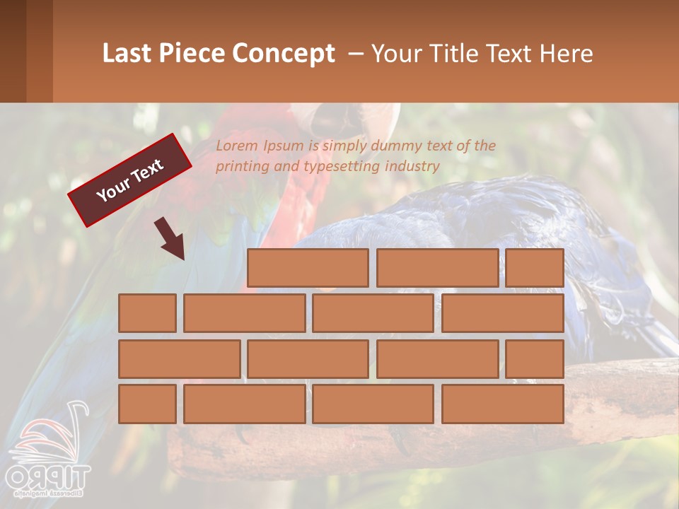 Two Colorful Parrots Are Sitting On A Tree Branch PowerPoint Template