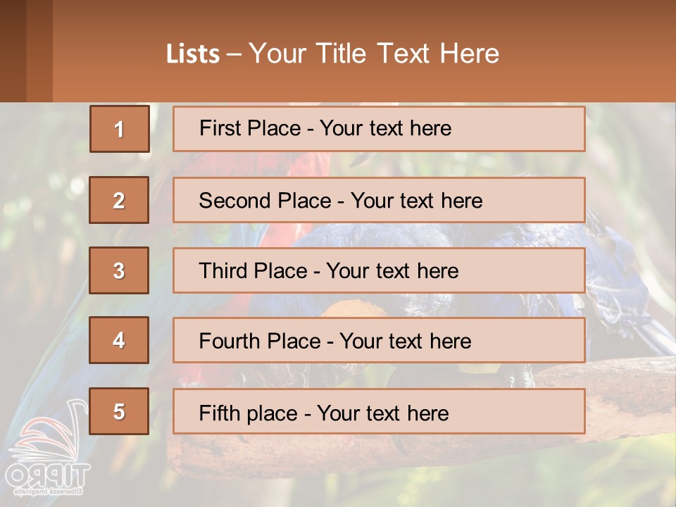 Two Colorful Parrots Are Sitting On A Tree Branch PowerPoint Template