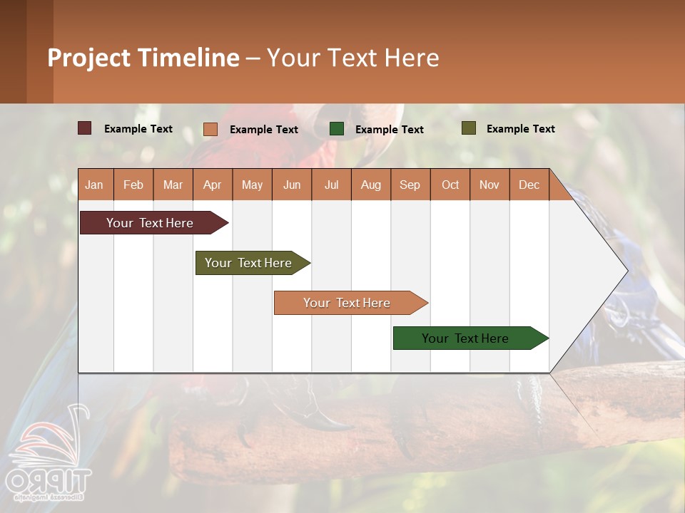 Two Colorful Parrots Are Sitting On A Tree Branch PowerPoint Template