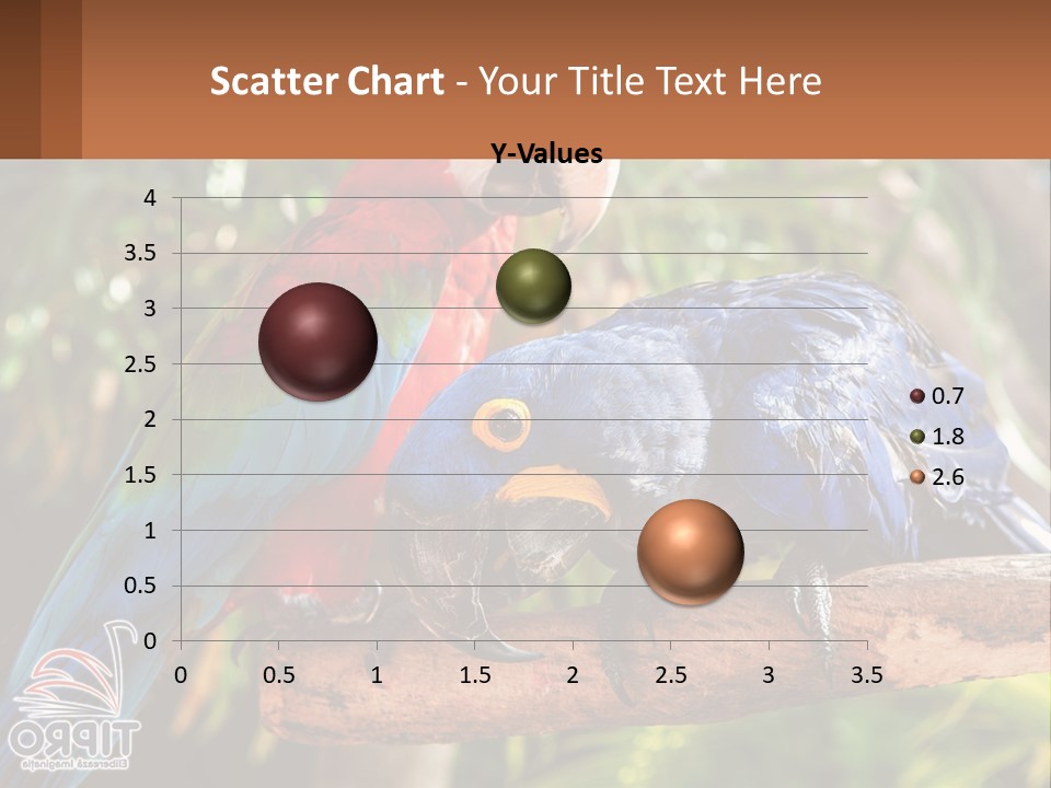 Two Colorful Parrots Are Sitting On A Tree Branch PowerPoint Template