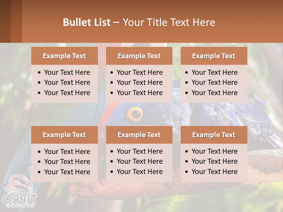 Two Colorful Parrots Are Sitting On A Tree Branch PowerPoint Template