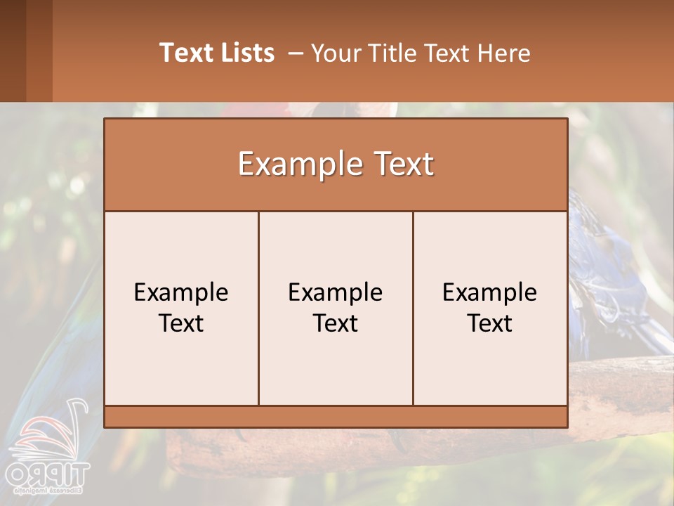Two Colorful Parrots Are Sitting On A Tree Branch PowerPoint Template