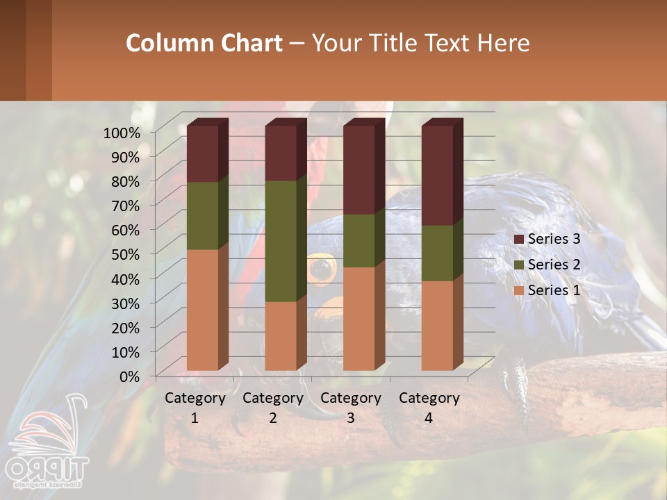 Two Colorful Parrots Are Sitting On A Tree Branch PowerPoint Template