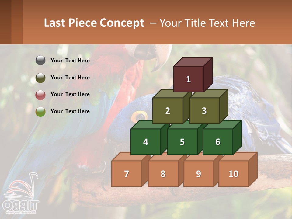 Two Colorful Parrots Are Sitting On A Tree Branch PowerPoint Template