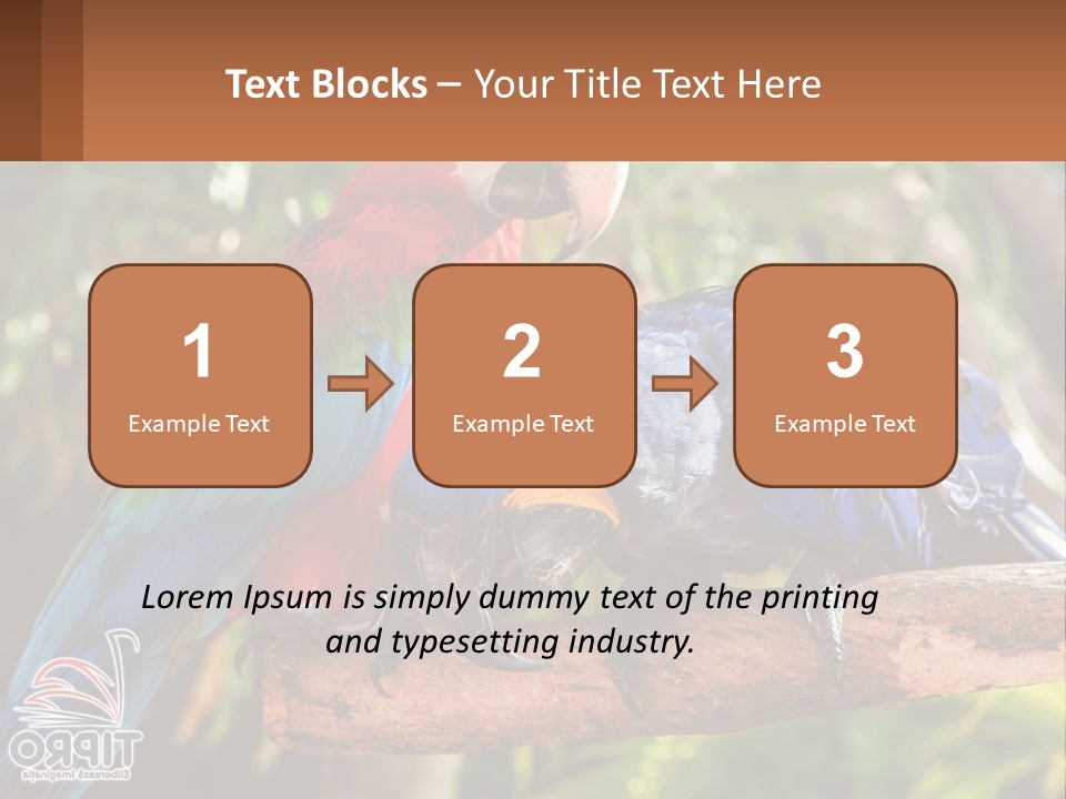 Two Colorful Parrots Are Sitting On A Tree Branch PowerPoint Template