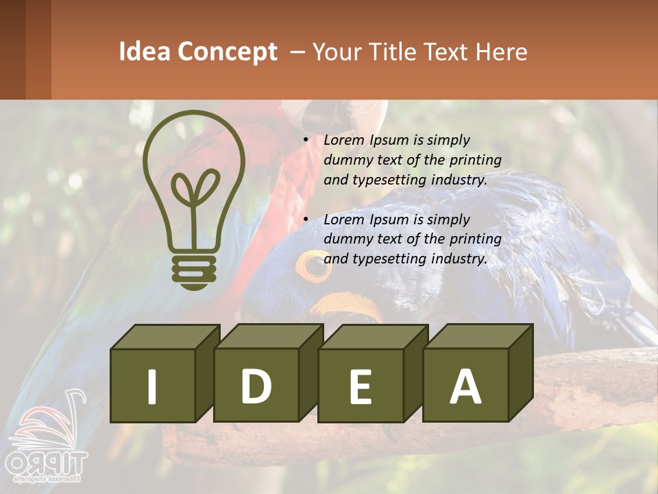 Two Colorful Parrots Are Sitting On A Tree Branch PowerPoint Template