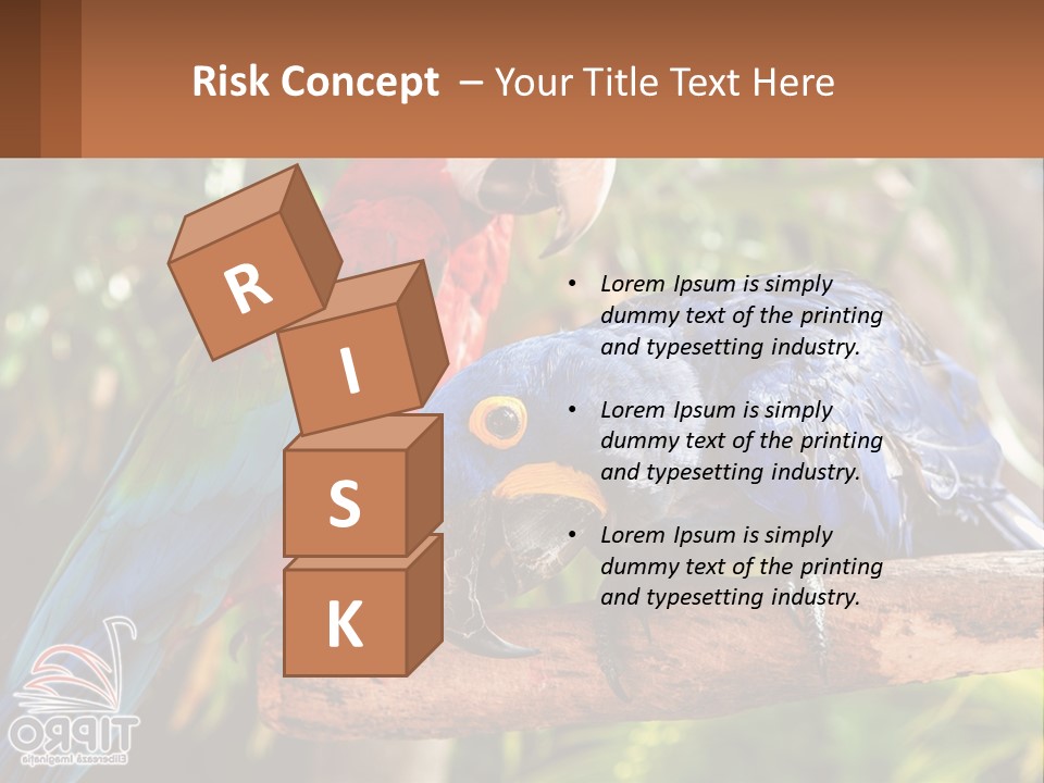 Two Colorful Parrots Are Sitting On A Tree Branch PowerPoint Template