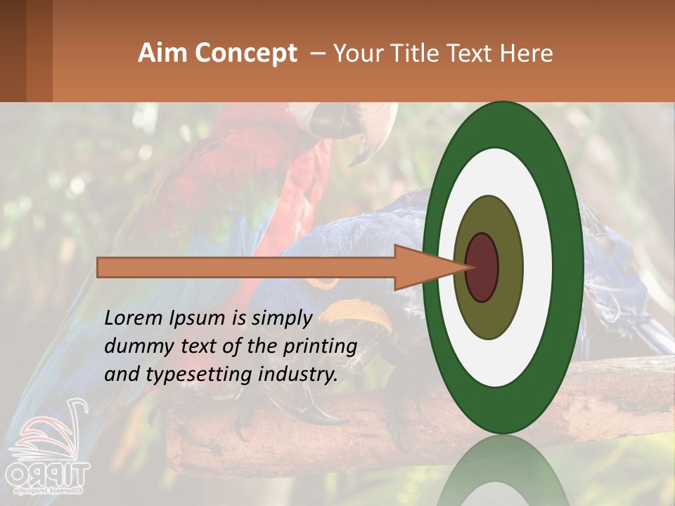 Two Colorful Parrots Are Sitting On A Tree Branch PowerPoint Template