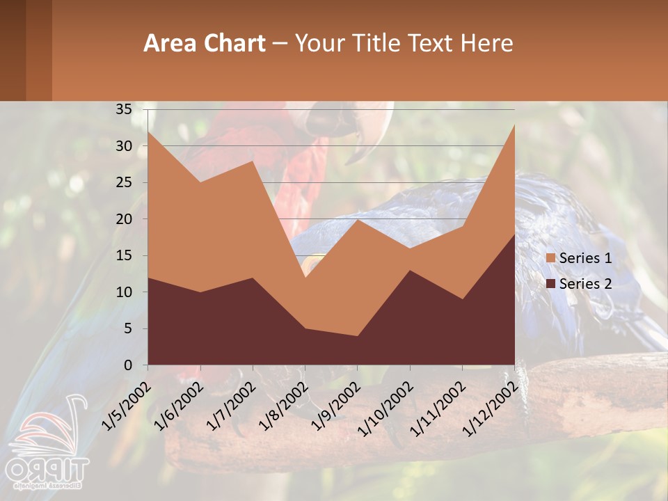 Two Colorful Parrots Are Sitting On A Tree Branch PowerPoint Template