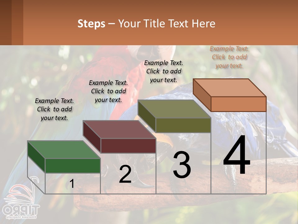 Two Colorful Parrots Are Sitting On A Tree Branch PowerPoint Template