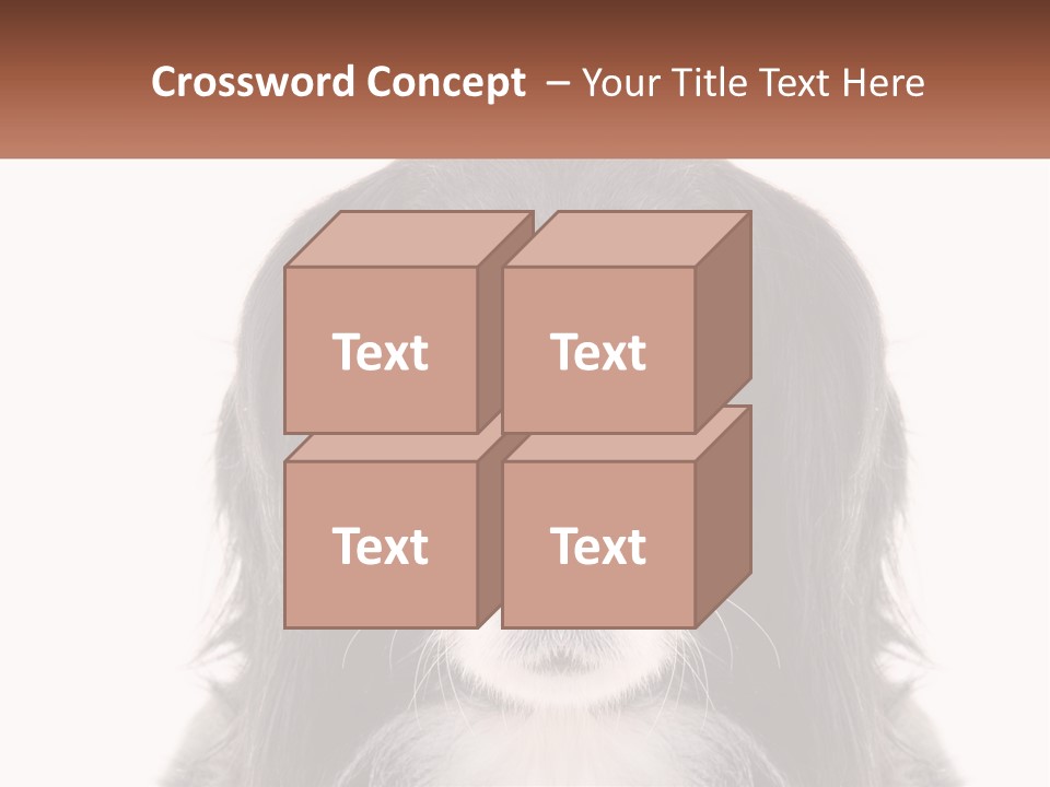 A Black And White Dog Is Looking At The Camera PowerPoint Template