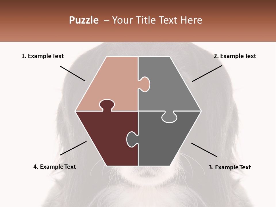 A Black And White Dog Is Looking At The Camera PowerPoint Template