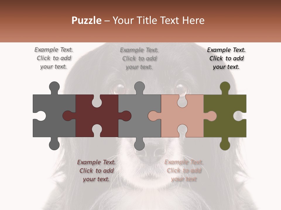 A Black And White Dog Is Looking At The Camera PowerPoint Template