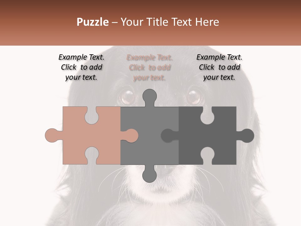 A Black And White Dog Is Looking At The Camera PowerPoint Template