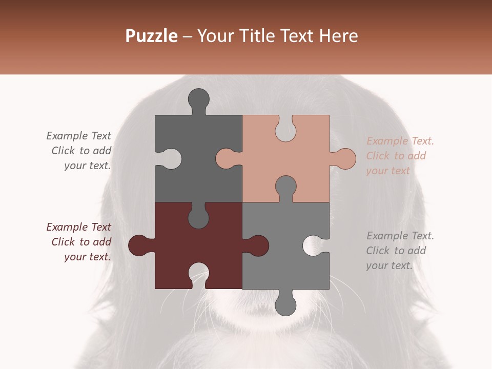 A Black And White Dog Is Looking At The Camera PowerPoint Template