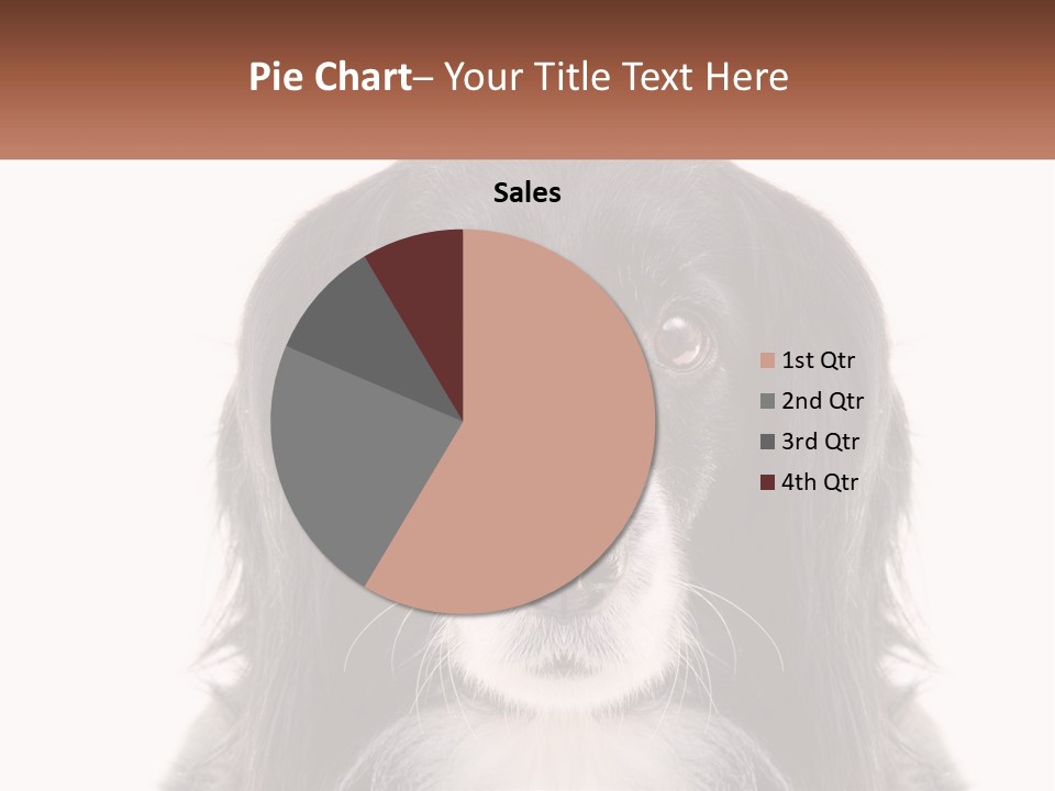 A Black And White Dog Is Looking At The Camera PowerPoint Template