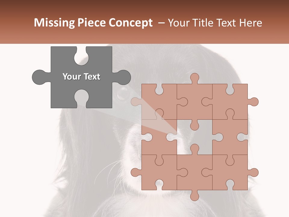 A Black And White Dog Is Looking At The Camera PowerPoint Template