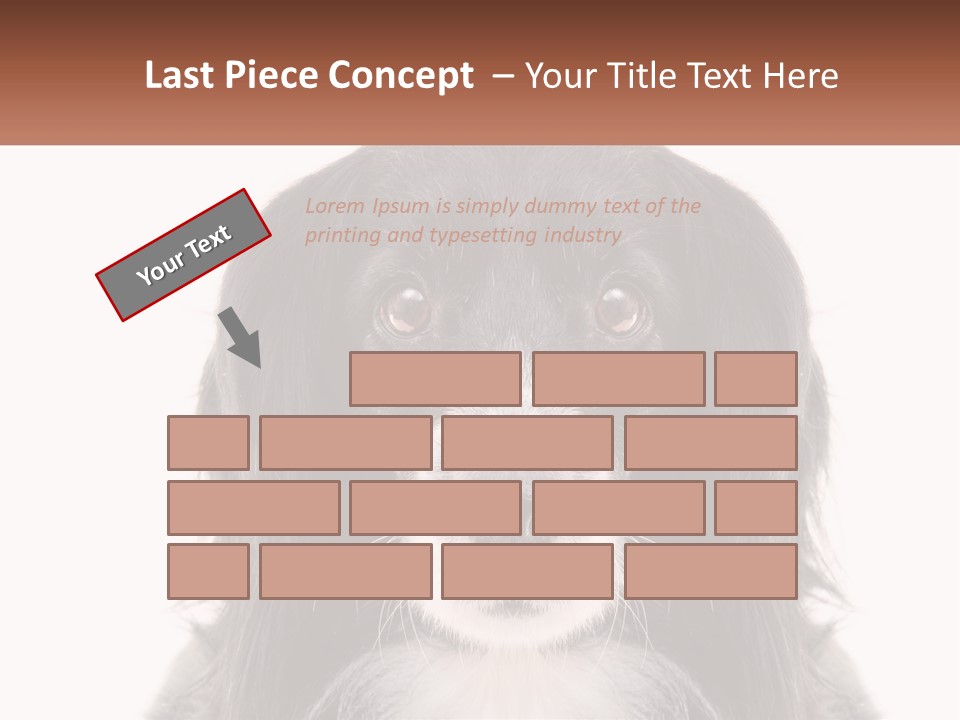 A Black And White Dog Is Looking At The Camera PowerPoint Template