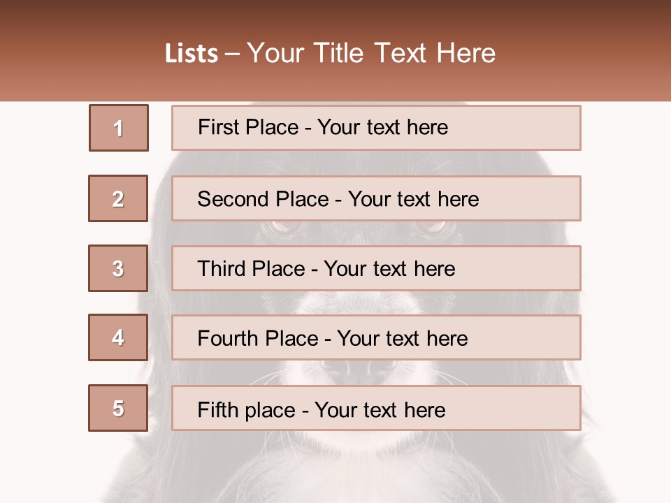 A Black And White Dog Is Looking At The Camera PowerPoint Template