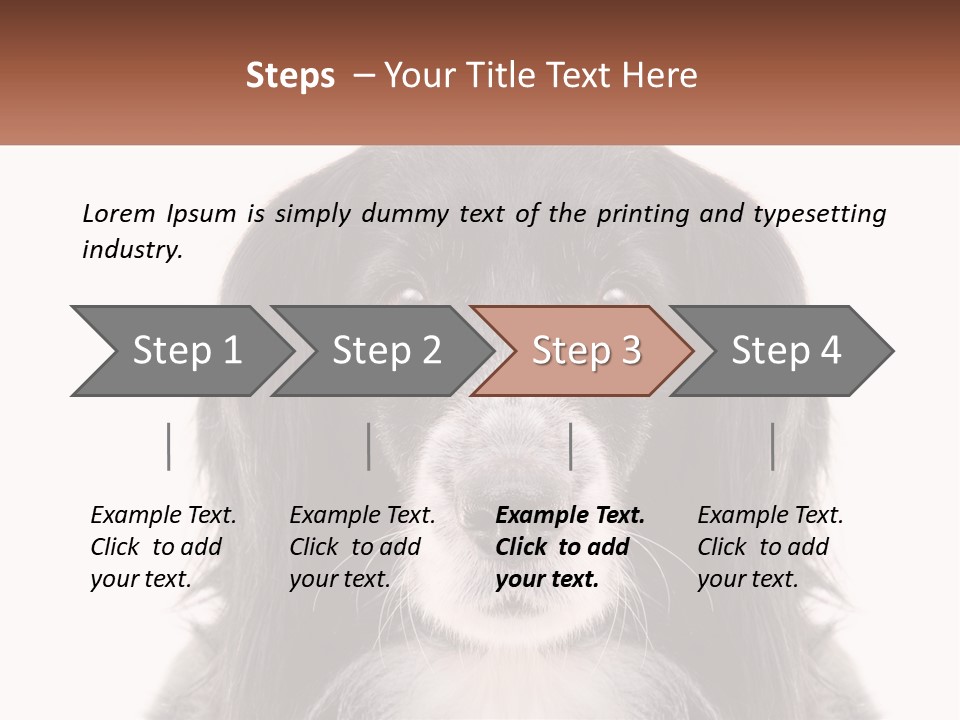 A Black And White Dog Is Looking At The Camera PowerPoint Template